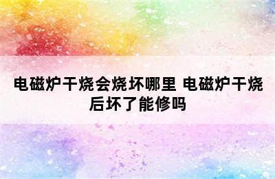 电磁炉干烧会烧坏哪里 电磁炉干烧后坏了能修吗